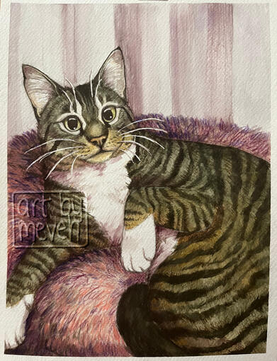 &#39;baby&#39; - 9x12in watercolor and colored pencil